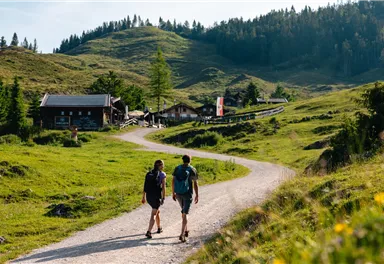 Scheffau_Walleralm_Wilder Kaiser