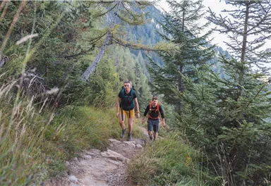 Scheffau_Weg Nr. 827_Hochegg_Wilder Kaiser