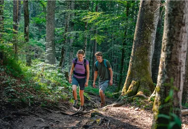 Scheffau_ Weg Nr. 45a_Wilder Kaiser