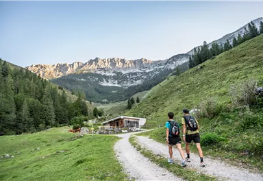 Scheffau_Wegscheid-Niederalm_Wilder Kaiser