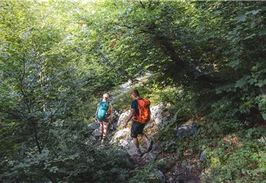 Scheffau_Wilder-Kaiser-Steig_Wilder Kaiser