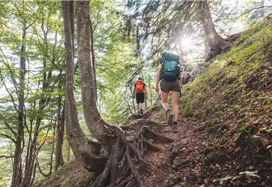 Scheffau_Wilder-Kaiser-Steig_Wilder Kaiser