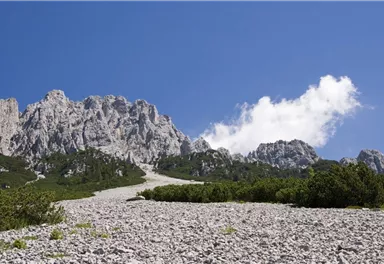 Scheffau_Wilder-Kaiser-Steig_Wilder Kaiser