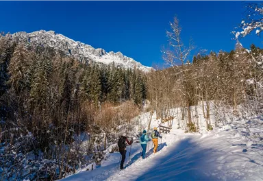 Scheffau_Winterwandern_Gaisberg_Rehbach_Wilder Kaiser