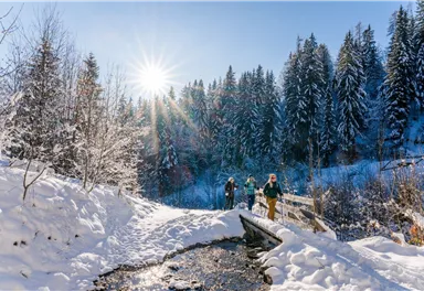 Wilder_Kaiser_Waldbaden_Winterwandern_Scheffau_Winter24_SabineHolaubek (81)_verkleinert.jpg