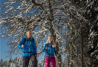 Schneeschuhwandern_Wilder Kaiser