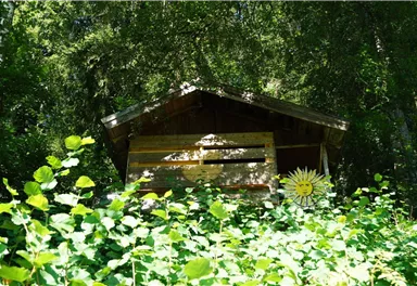 Söll_Dorfrunde_Bienenhaus_Wilder Kaiser