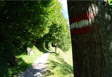 Söll_Dorfrunde_Wegmarkierung_Wilder Kaiser
