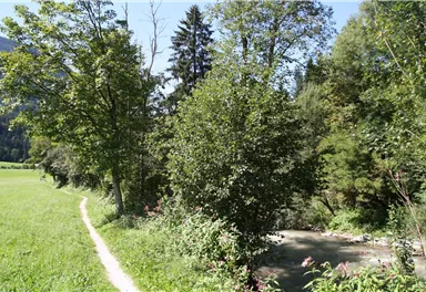 Engergieweg.JPG