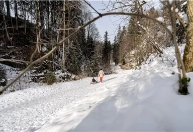 Soell_Familie_Rodel_Winterwandern_Winter_Wilder Kaiser