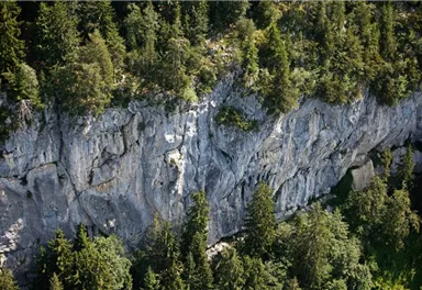 Söll_Klettergarten Achleiten_Wilder Kaiser