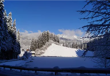Söll_Moorsee_Wilder Kaiser