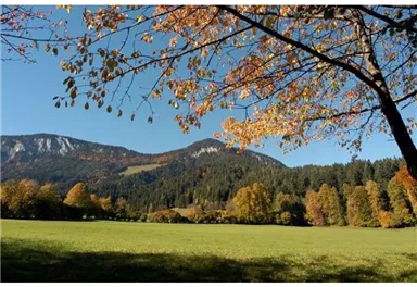 Söll_Pölven_Wilder Kaiser