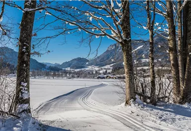 Söll_Schattseit_Winter_Wilder Kaiser