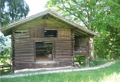 IMG_0080.JPG