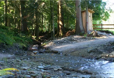 söllerfreiheitmitbachl.jpg