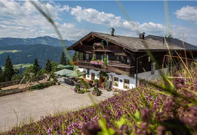 Söll_Stallhäusl Außen_Wilder Kaiser