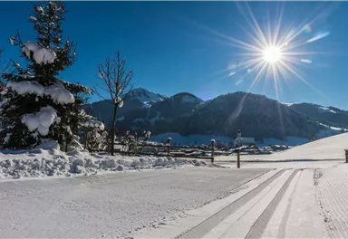 Söll_Sunnseitloipe_Wilder Kaiser