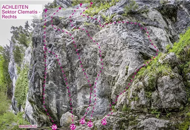 Wilder Kaiser_KG_Achleiten_Clematis Rechts_75dpi.jpg