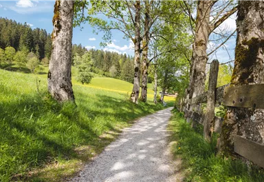 wandern_sunnseitweg_soell_fruehling_april24_foto_mathaeus_gartner_9.jpg