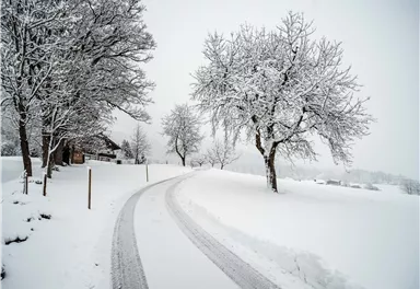 Winterwalking