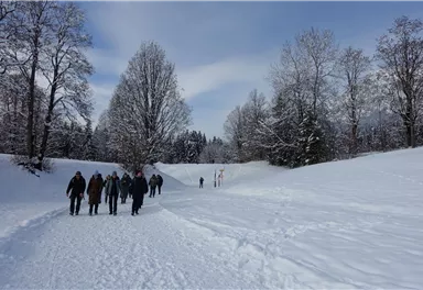 Wolfsegg_Genusswandeurng_Going