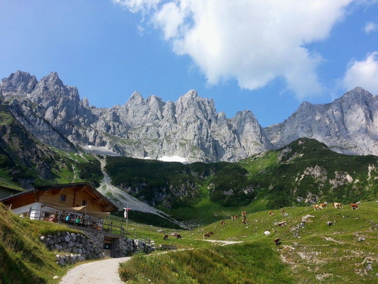 MTB-Tour 272 Obere Regalm