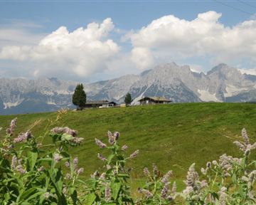 Ellmau_11er-Kaiserblick-Runde_Wilder Kaiser