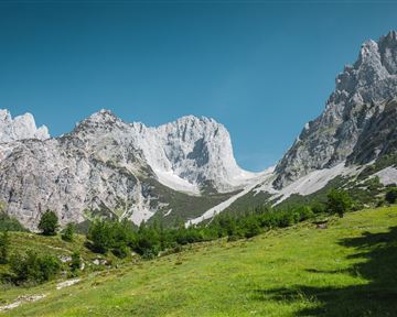 wilderkaiser_kaiserbluete_moor_matgartner_2025_-17.jpg