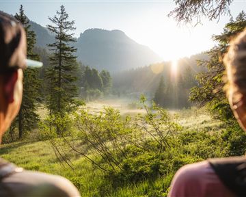 wilderkaiser_kaiserbluete_moor_matgartner_2025_-84.jpg