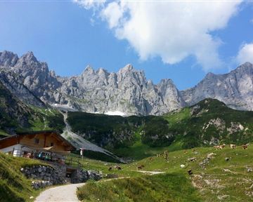Going_Obere Regalm_Wilder Kaiser