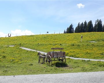 Going_PonyAlm_Astberg_Wilder Kaiser