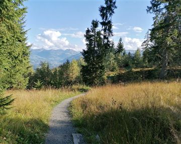 Going_Weg Nr9_zwischen Kathen und Astberg_Wilder Kaiser