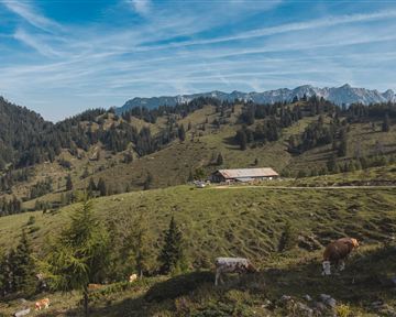 Kaisergebirge_Kaindlhütte_02-(c)TVB-Kufsteinerland_Mathaeus-Gartner.jpg