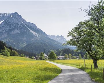 Scheffau Sommer