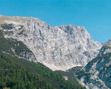 wilderkaiser_kaiserbluete_wasser_matgartner_2025_-37_bearb..jpg
