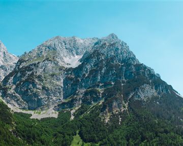 wilderkaiser_kaiserbluete_wasser_matgartner_2025_-122_1_bearb..jpg