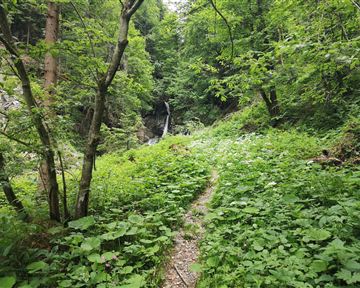 Scheffau_Wasserfall Breuergraben_Wilder Kaiser