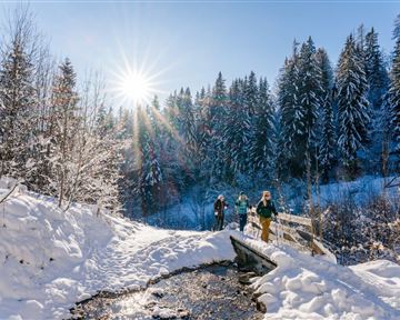 Wilder_Kaiser_Waldbaden_Winterwandern_Scheffau_Winter24_SabineHolaubek (81)_verkleinert.jpg