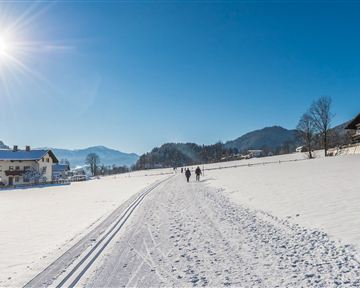 Söll_Sunnseitloipe_Winterwanderweg_Wilder Kaiser
