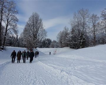 Wolfsegg_Genusswandeurng_Going