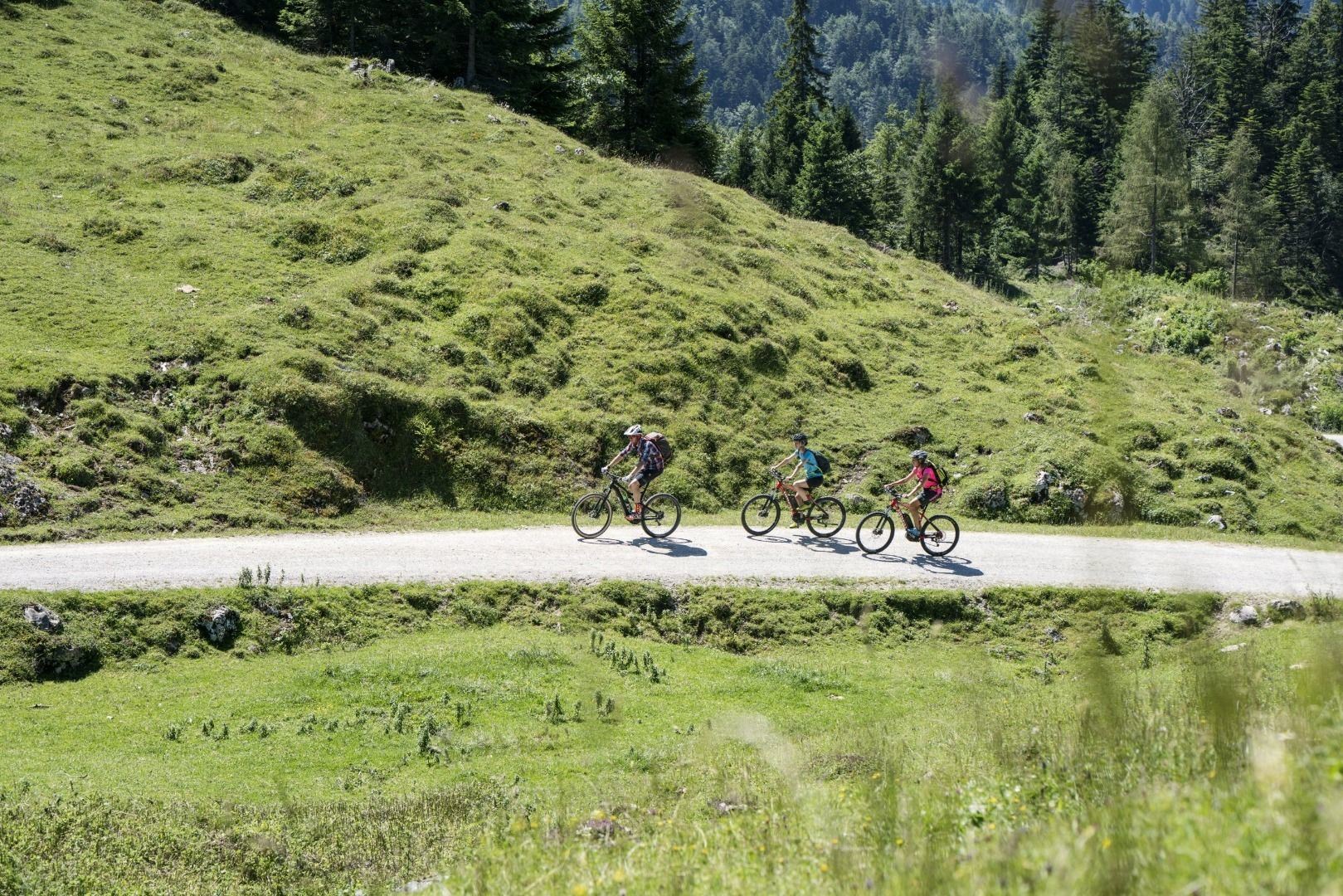 MTB-Tour 364 Walleralm